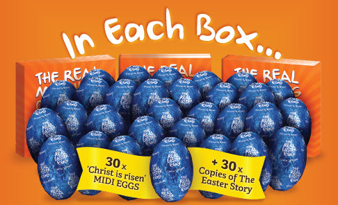 Real Easter Egg Sharing Box (30 eggs)
